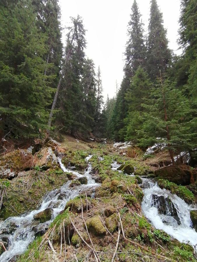 Petkovi Аpartments, Borovets Gardens - One-Bedroom And Two-Bedroom Apartments Exterior photo